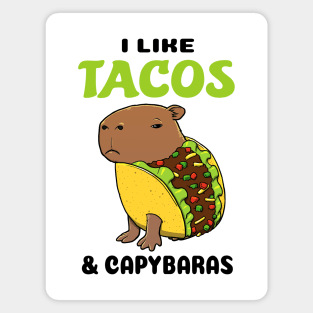 I Like Tacos and Capybaras Magnet